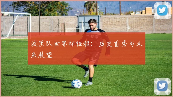 波黑队世界杯征程：历史首秀与未来展望