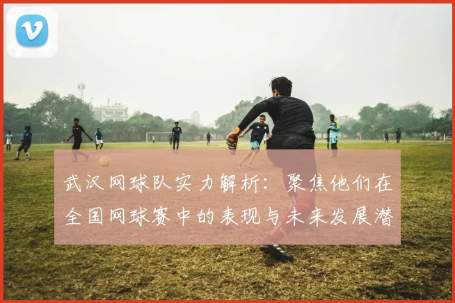 武汉网球队实力解析：聚焦他们在全国网球赛中的表现与未来发展潜力